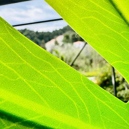 Diamanti Aparthotel Kolios