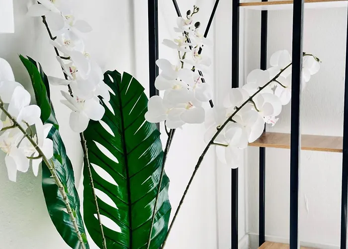 Diamanti Апарт-отель Колиос