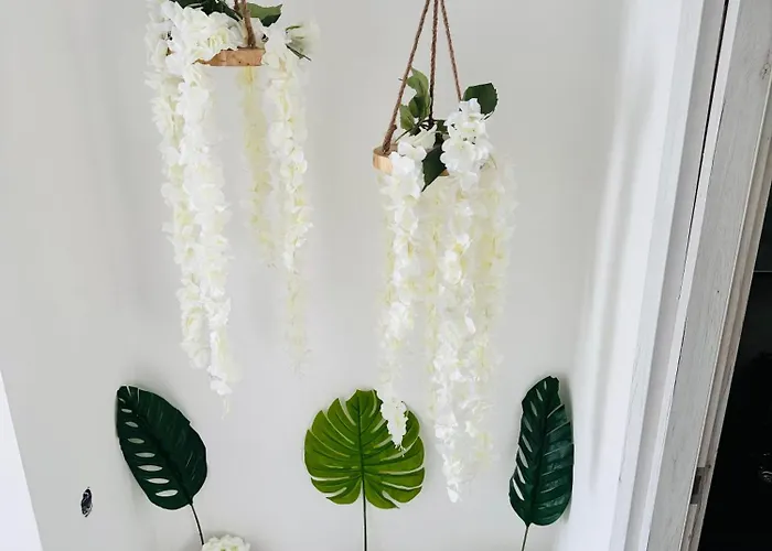 Diamanti 4* Колиос