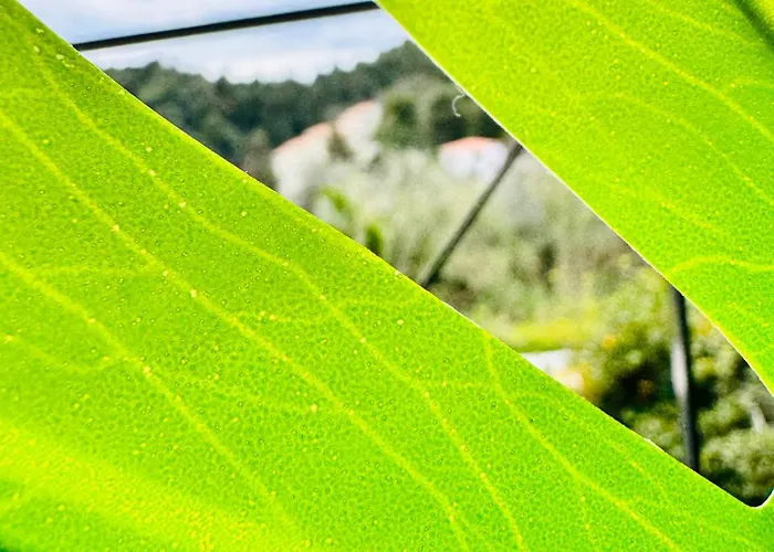 Diamanti Апарт-отель Колиос