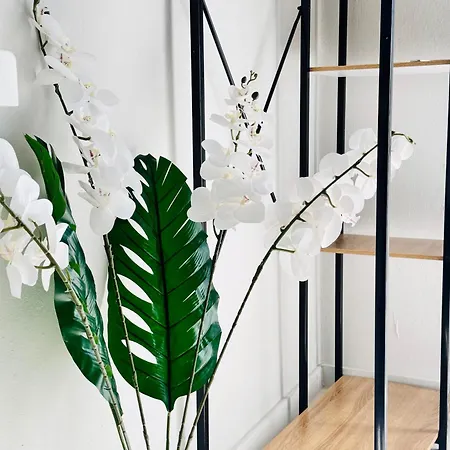 Diamanti Apart-hotel Kolios