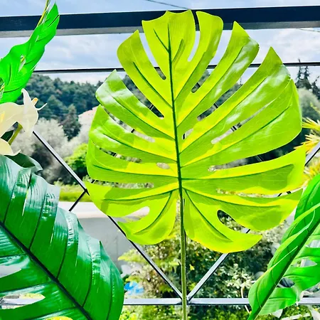 Apart-hotel Diamanti Kolios